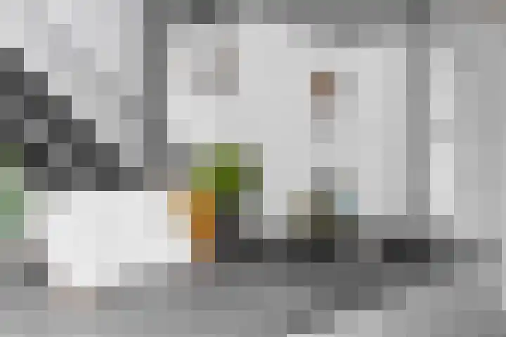 Eykmanlaan 132 Utrecht thumbnail 7