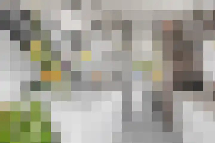 Eykmanlaan 132 Utrecht thumbnail 9