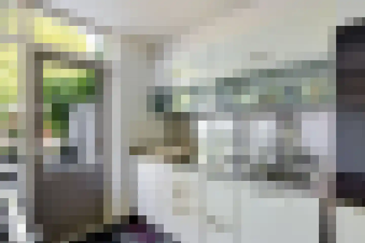Eykmanlaan 66 Utrecht thumbnail 18