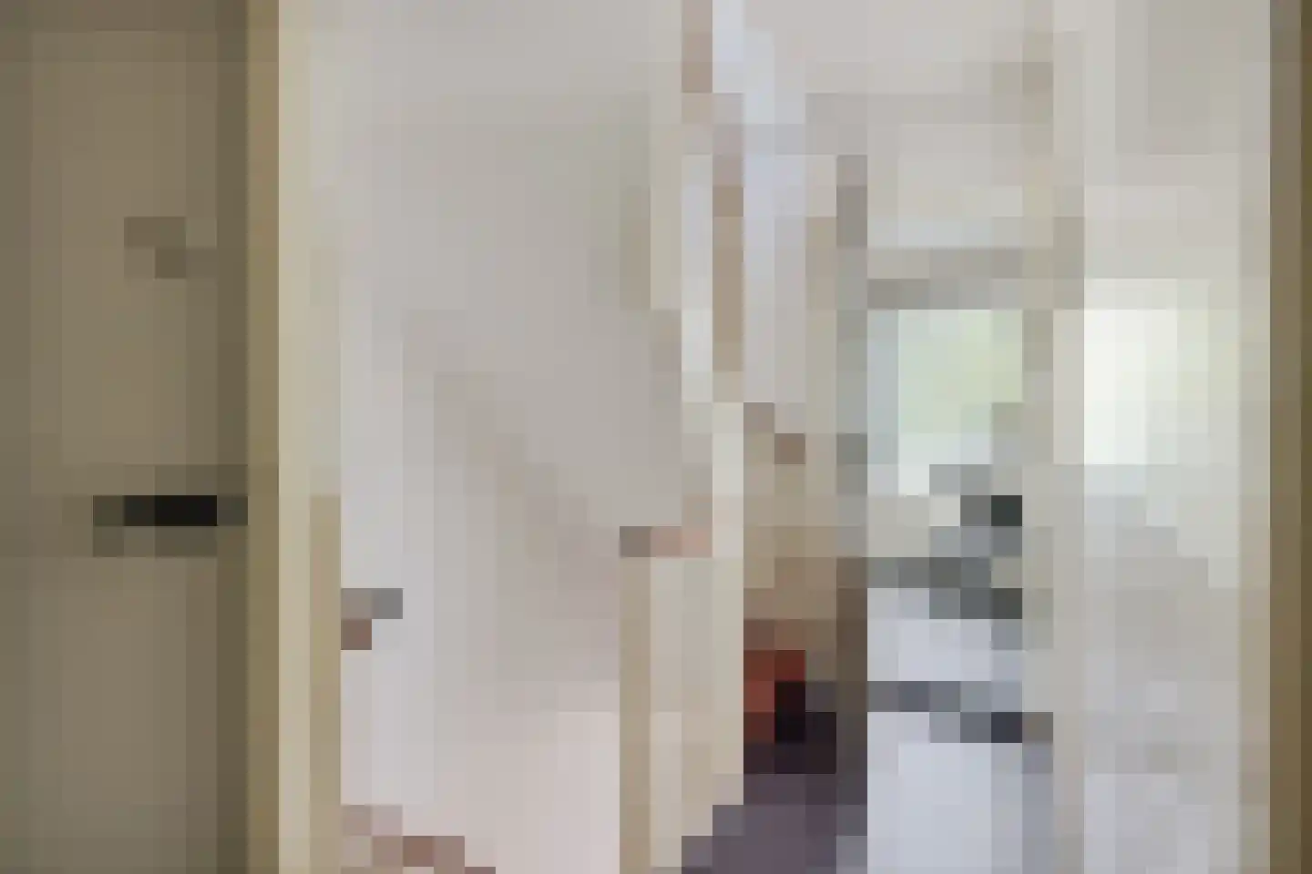 Eykmanlaan 66 Utrecht thumbnail 20