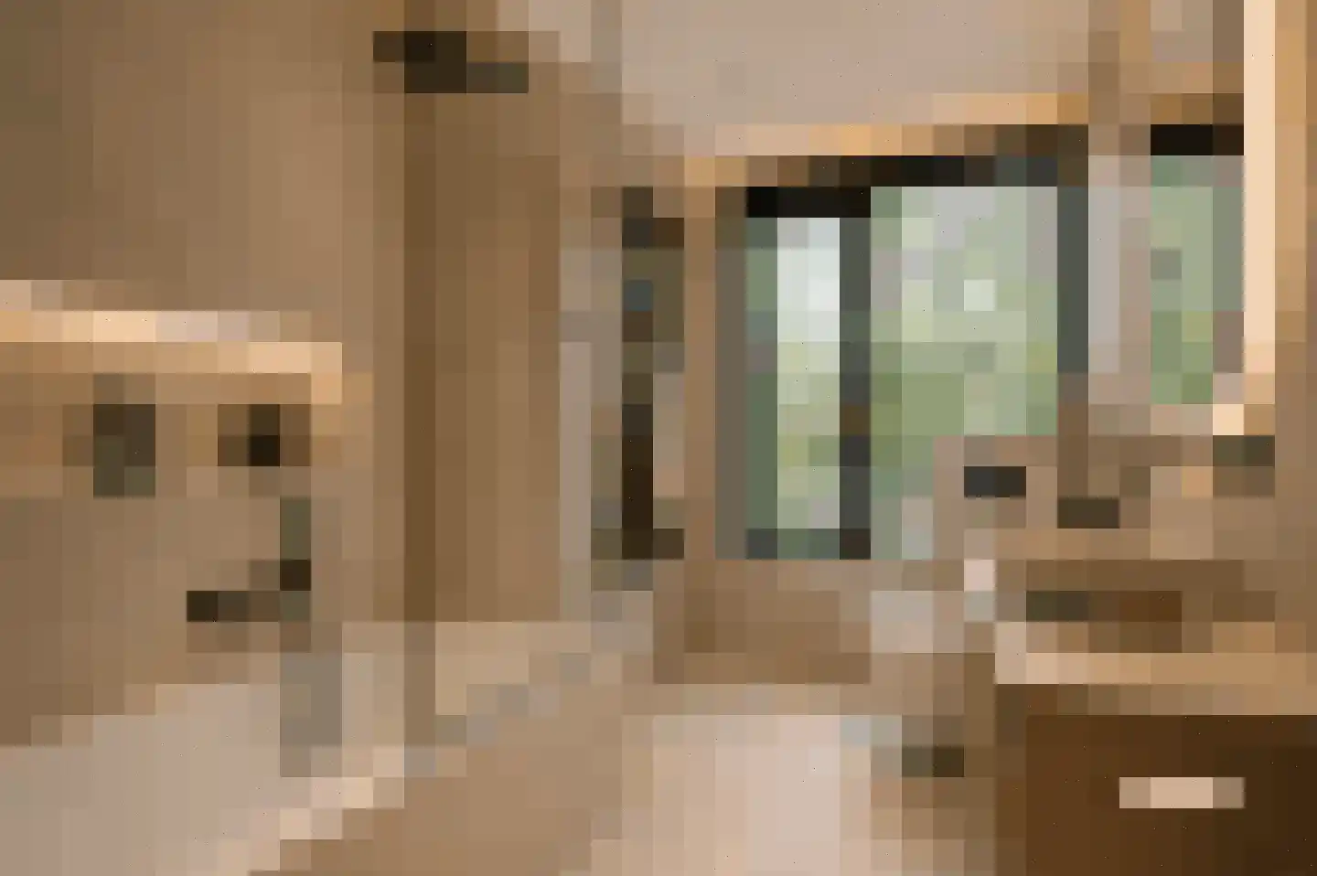 Eykmanlaan 66 Utrecht thumbnail 22
