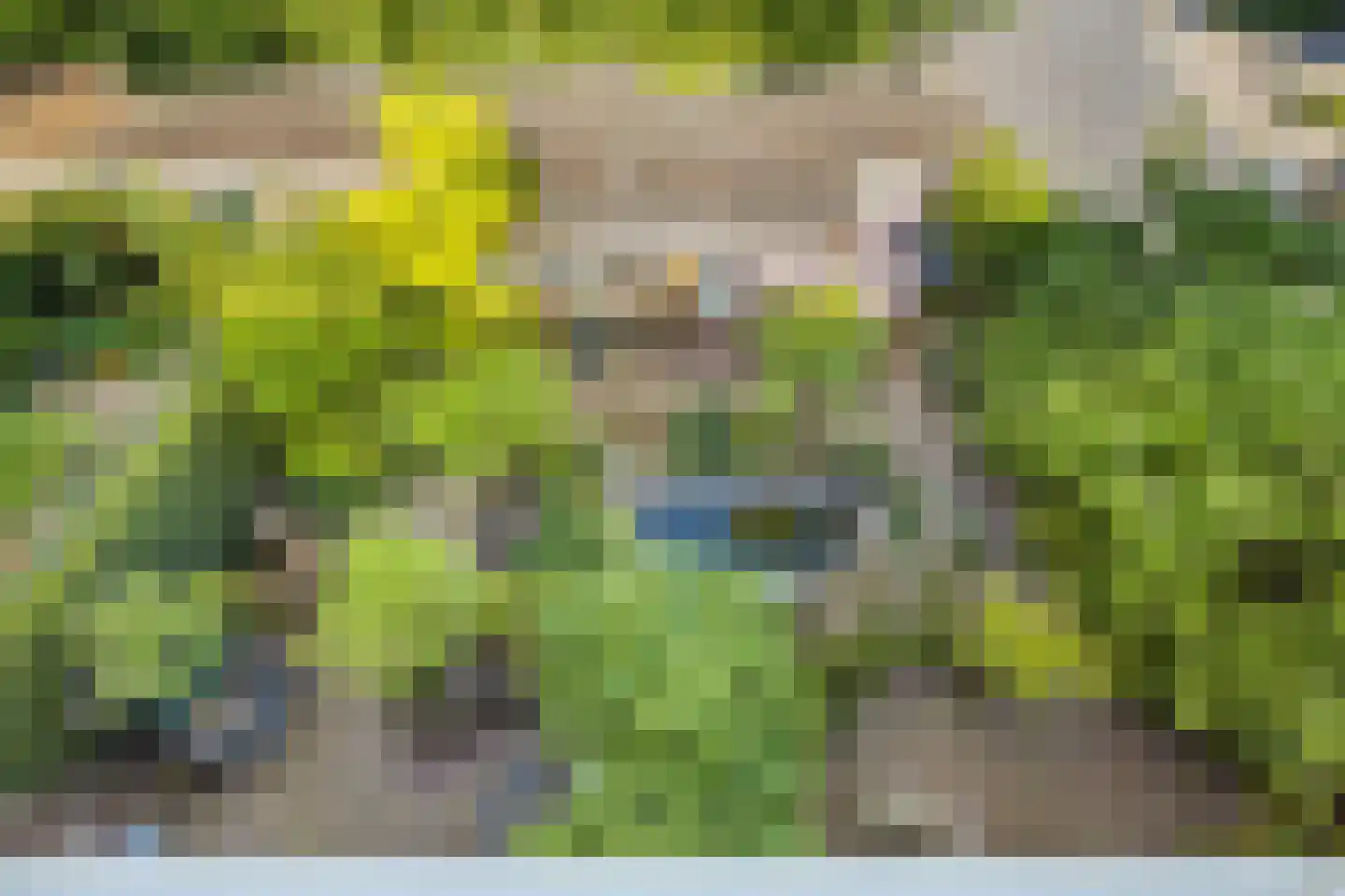 Eykmanlaan 66 Utrecht thumbnail 34