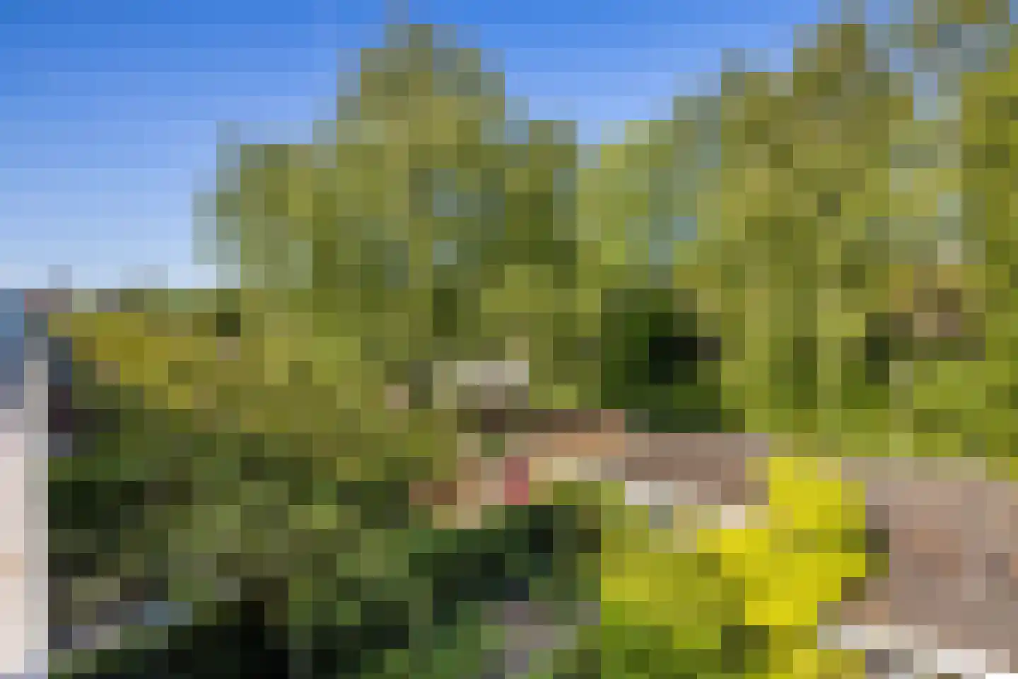 Eykmanlaan 66 Utrecht thumbnail 35