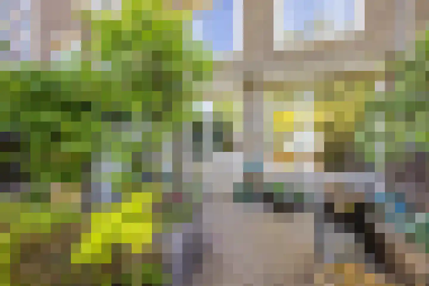 Eykmanlaan 66 Utrecht thumbnail 36
