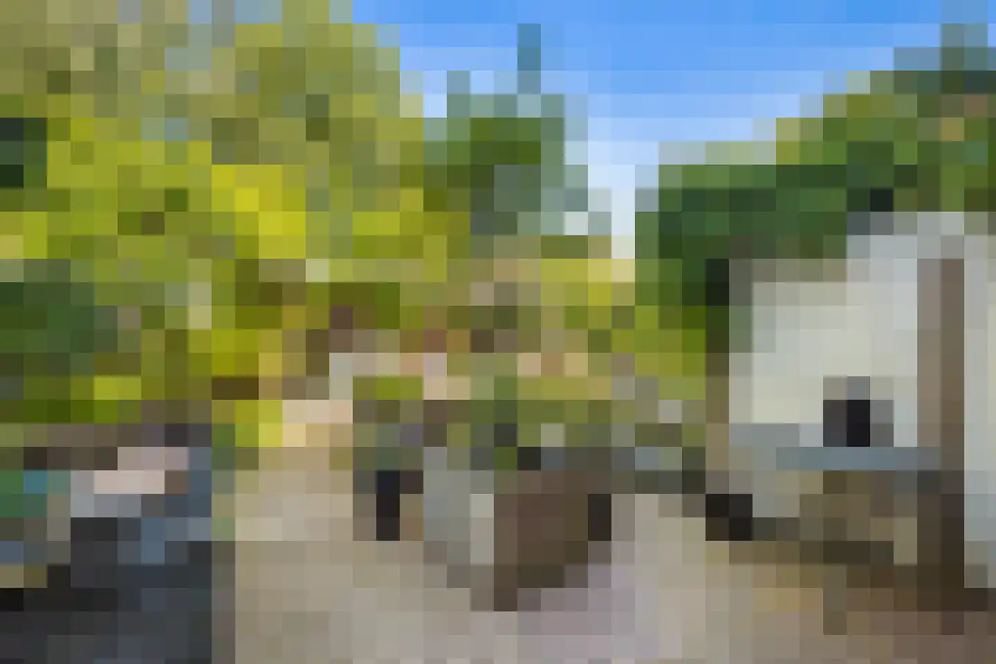 Eykmanlaan 66 Utrecht thumbnail 37