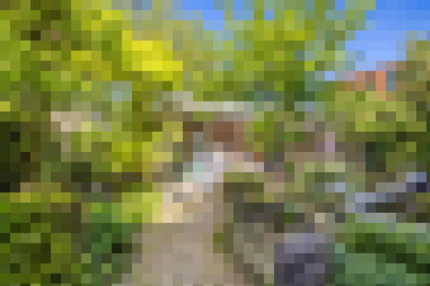 Eykmanlaan 66 Utrecht thumbnail 38