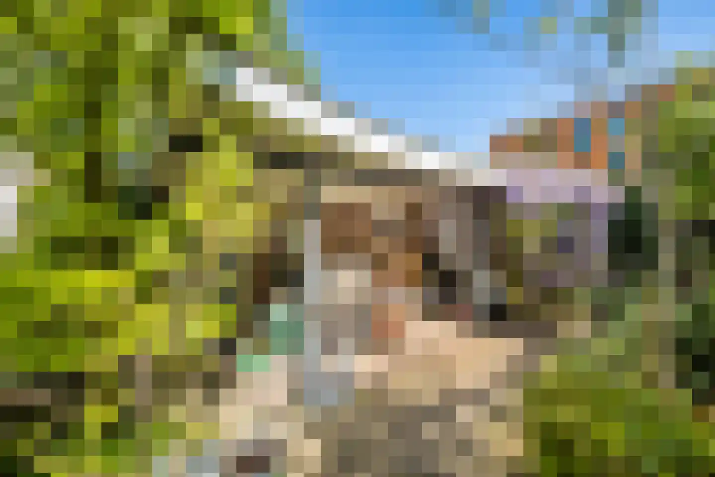 Eykmanlaan 66 Utrecht thumbnail 39