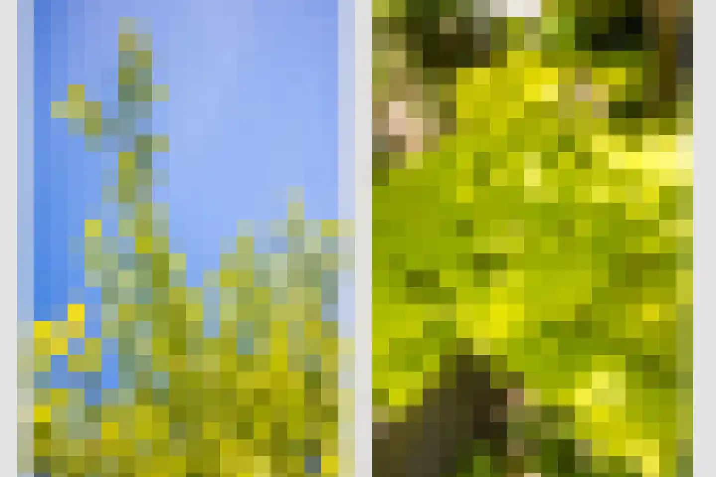 Eykmanlaan 66 Utrecht thumbnail 40