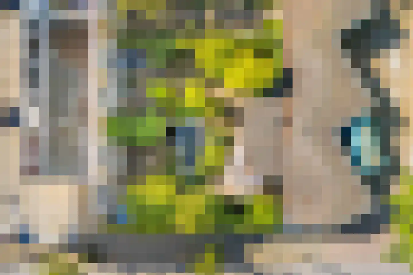 Eykmanlaan 66 Utrecht thumbnail 41