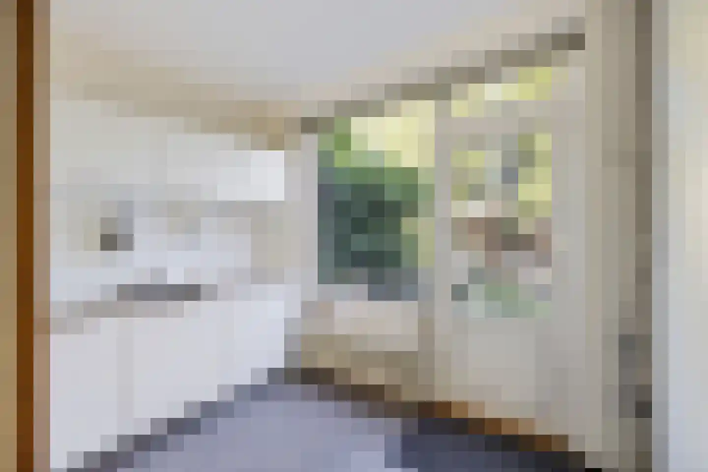 Eykmanlaan 68 Utrecht thumbnail 15