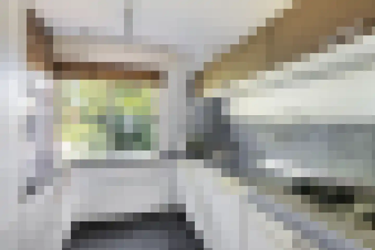 Eykmanlaan 68 Utrecht thumbnail 25