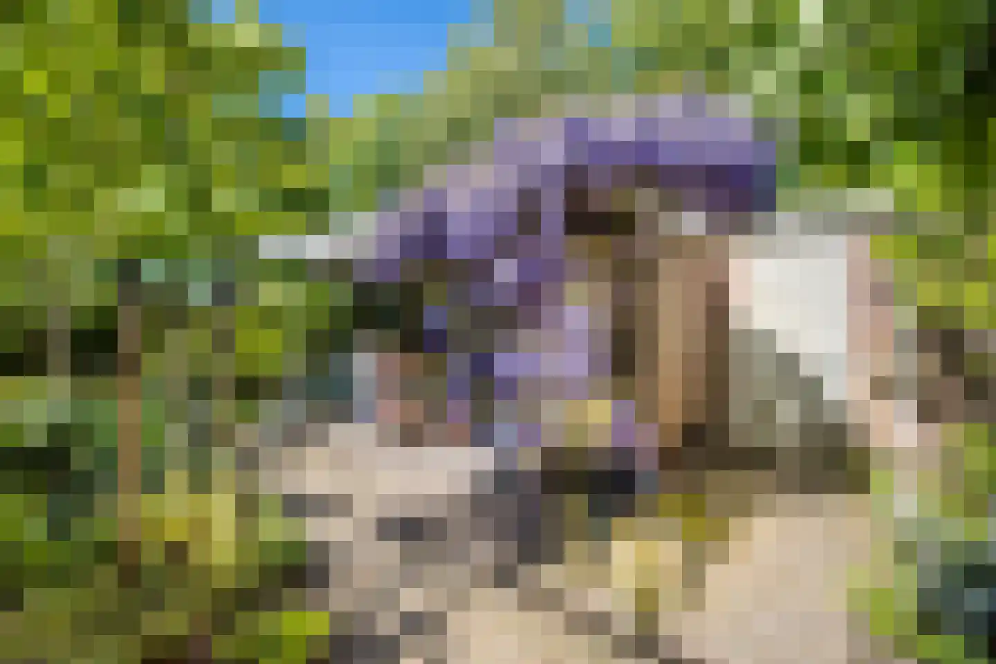 Eykmanlaan 68 Utrecht thumbnail 44