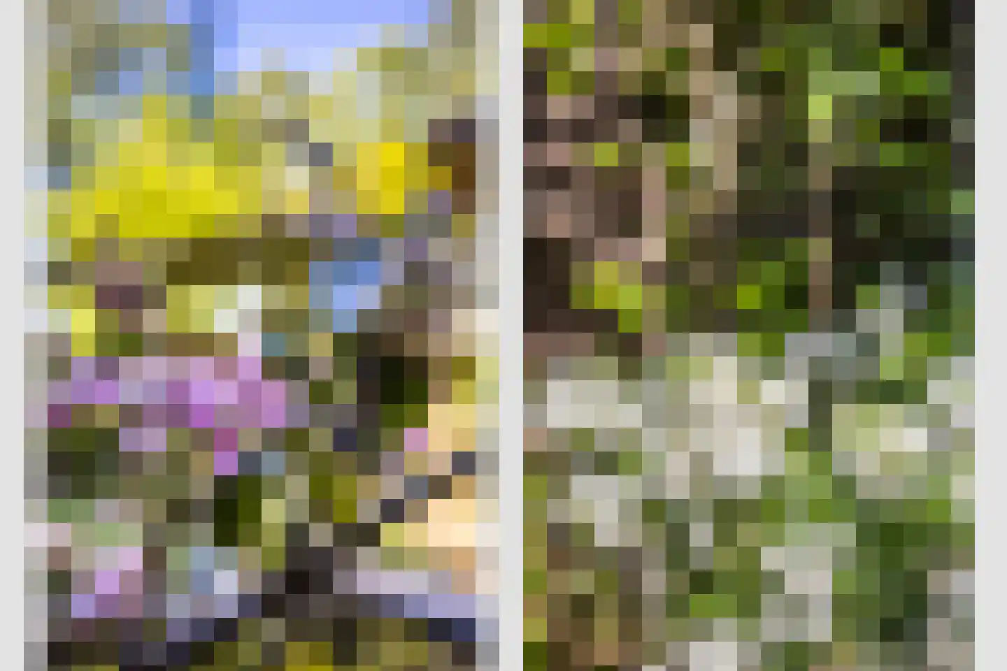Eykmanlaan 68 Utrecht thumbnail 45