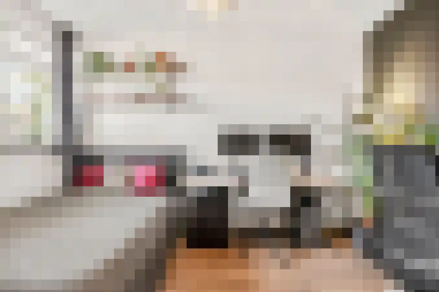 Eykmanstraat 10 Wageningen thumbnail 23