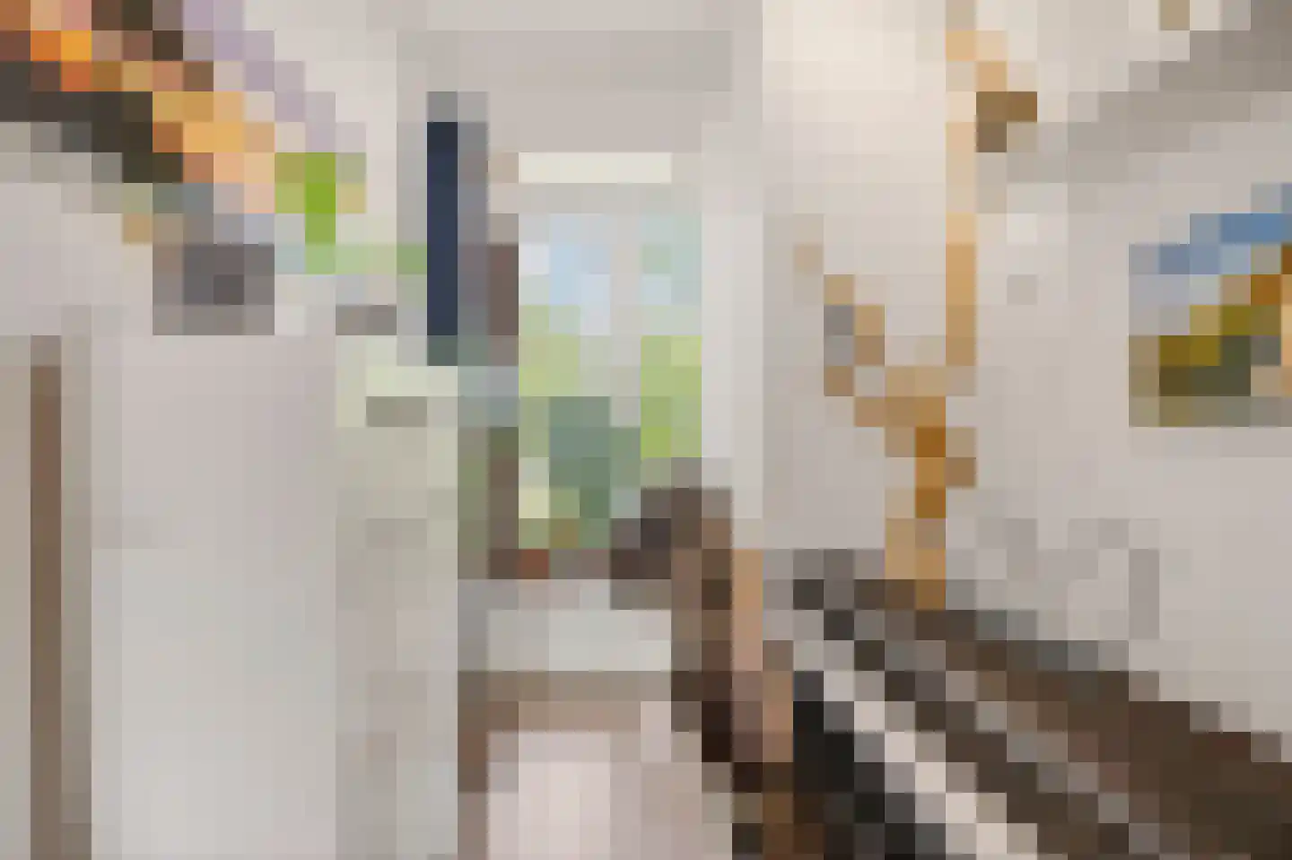 Eykmanstraat 10 Wageningen thumbnail 26