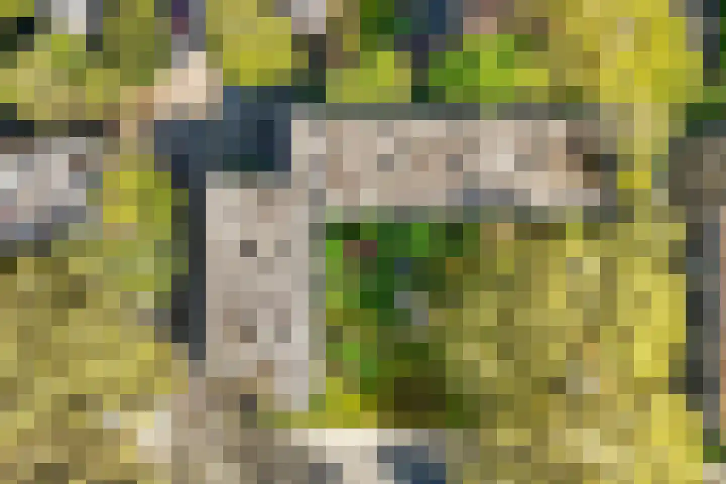 Eykmanstraat 10 Wageningen thumbnail 30
