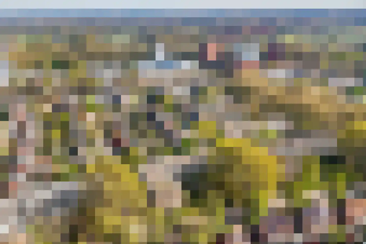Eykmanstraat 10 Wageningen thumbnail 31