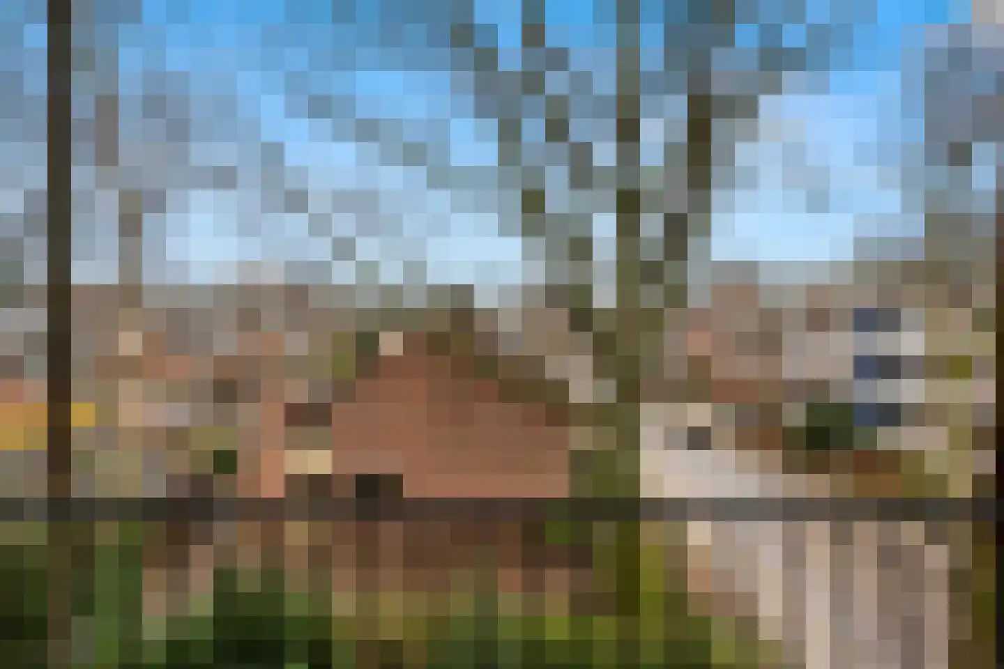 Eykmanstraat 14 II Wageningen thumbnail 27