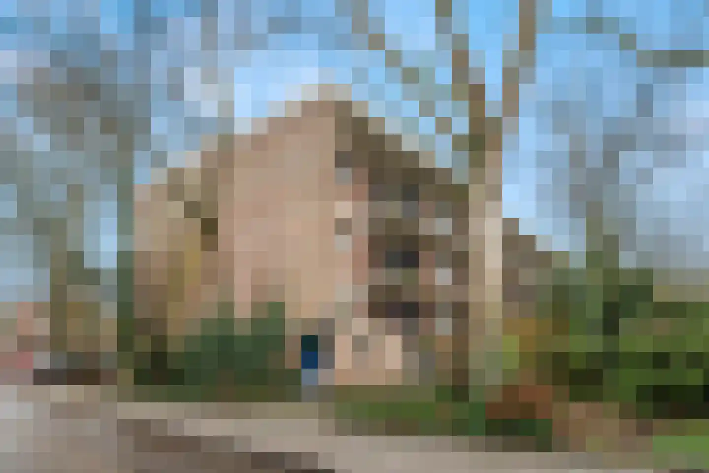 Eykmanstraat 14 II Wageningen thumbnail 28