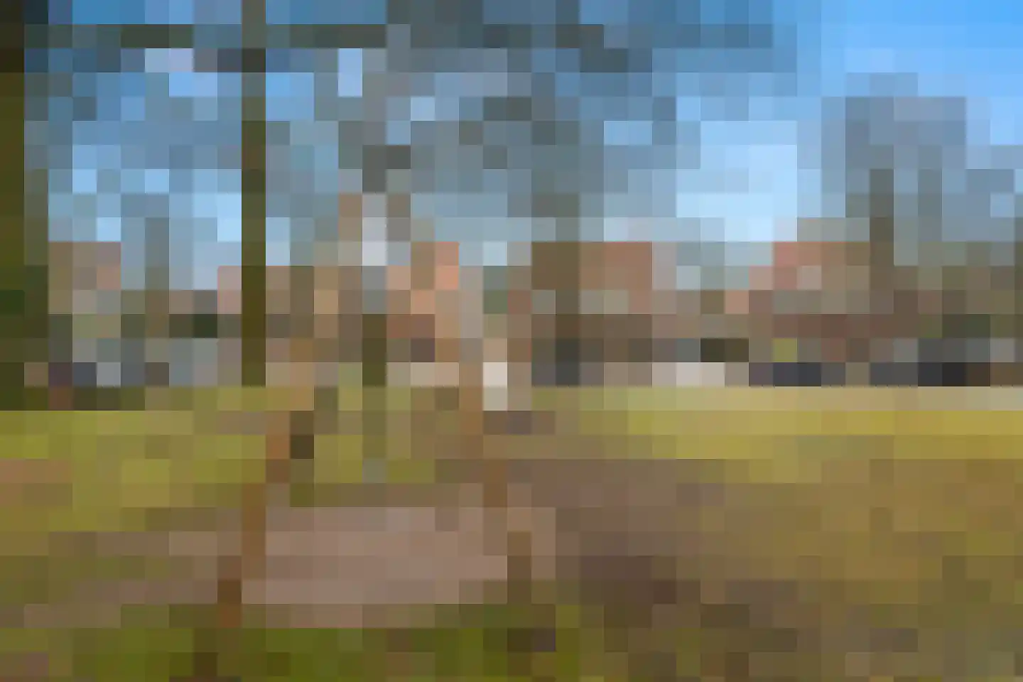 Eykmanstraat 14 II Wageningen thumbnail 29