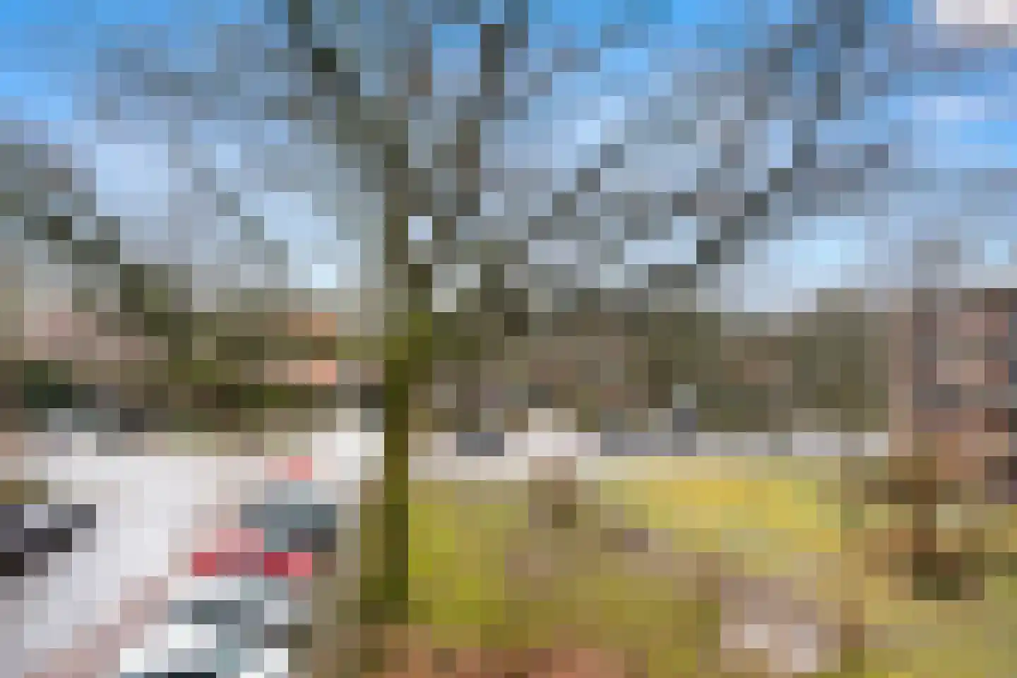 Eykmanstraat 14 II Wageningen thumbnail 7