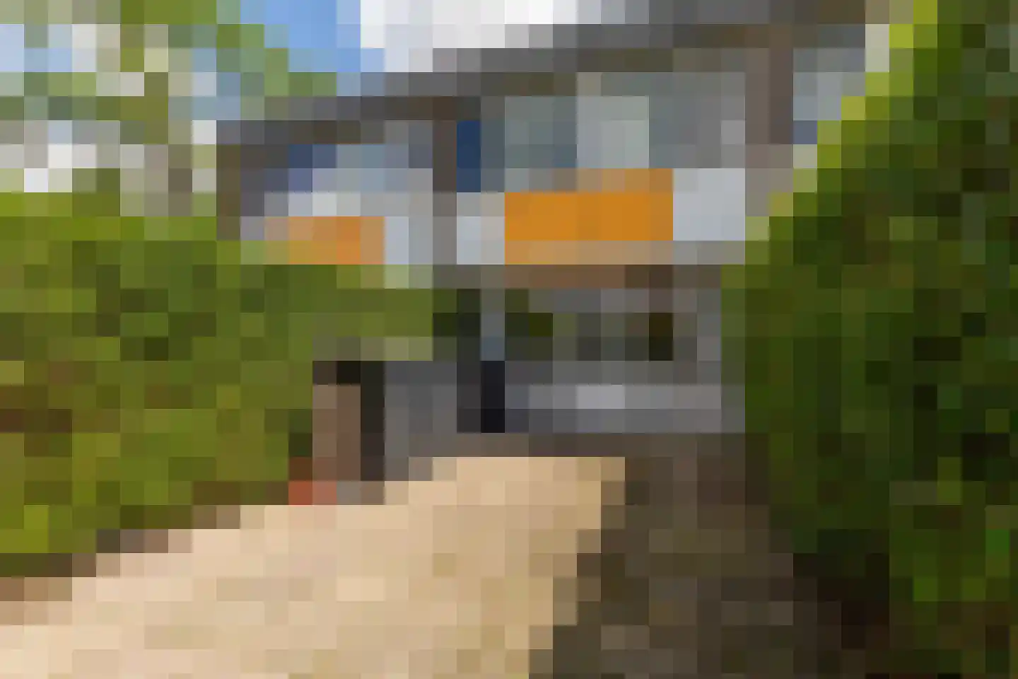 Eykmanstraat 14 Vlaardingen thumbnail 13