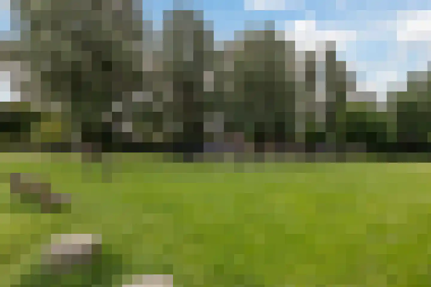 Eykmanstraat 14 Vlaardingen thumbnail 25