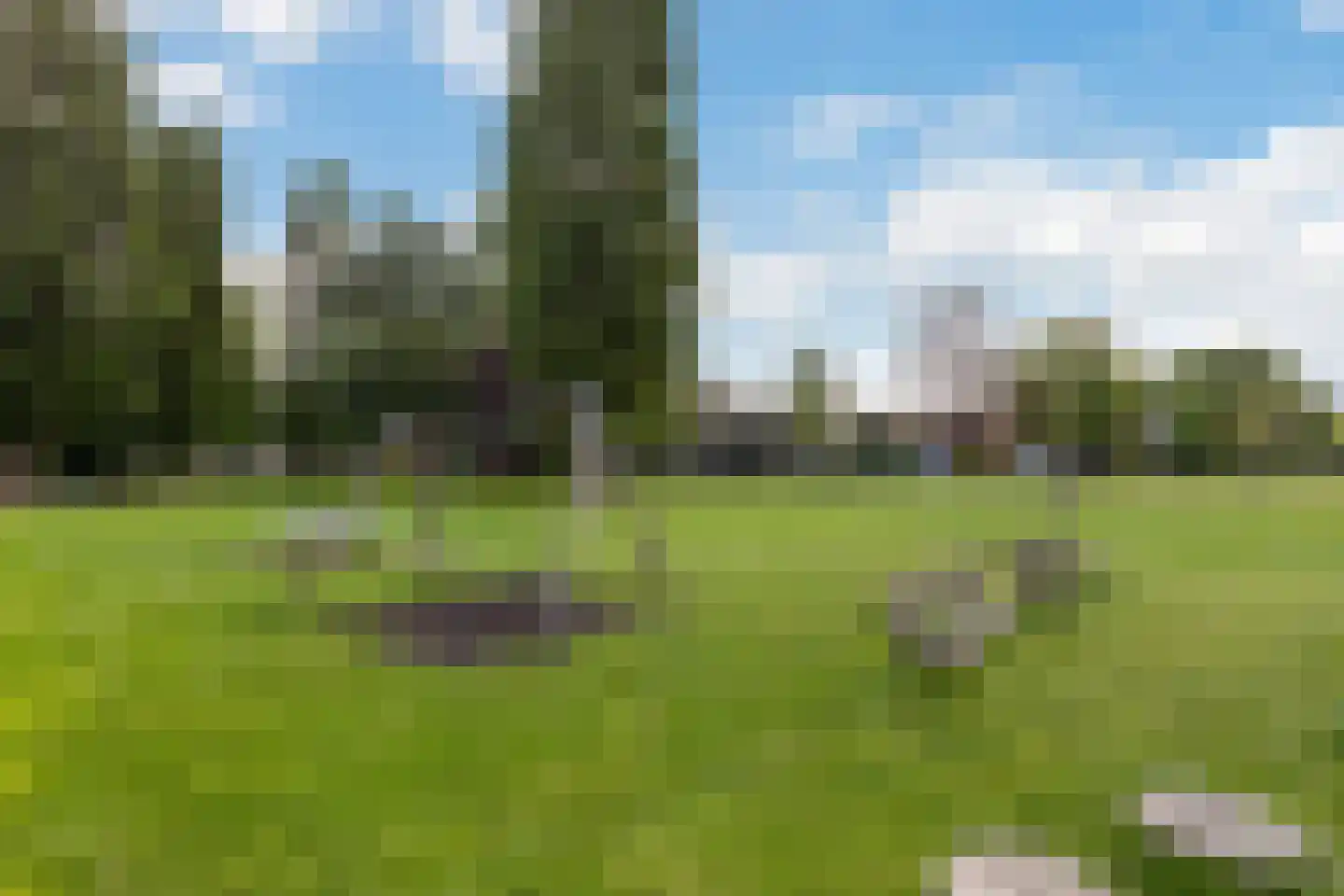 Eykmanstraat 14 Vlaardingen thumbnail 26