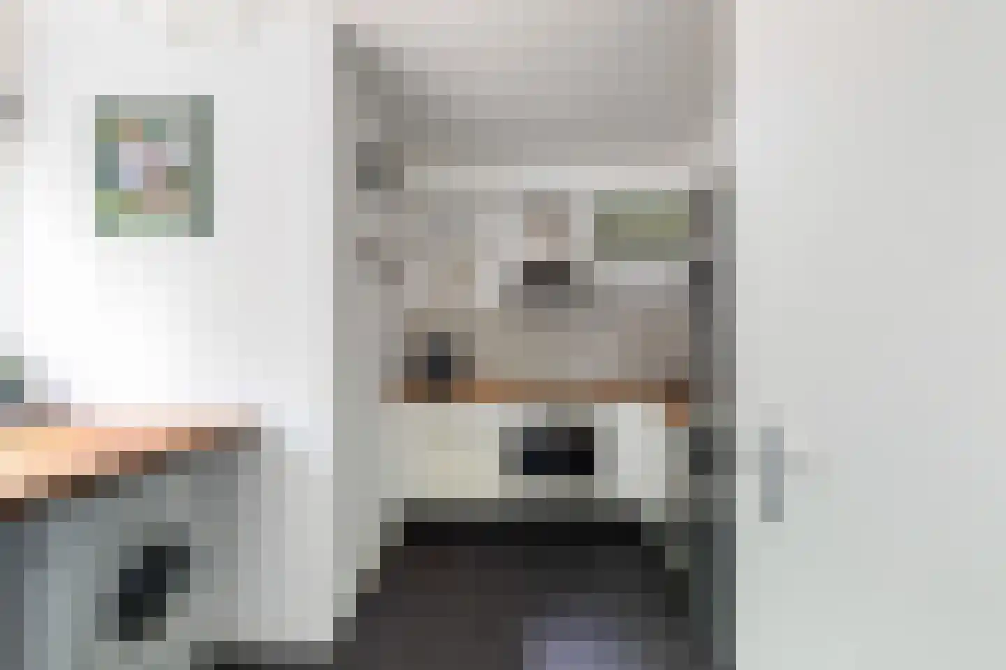 Eykmanstraat 14 Vlaardingen thumbnail 8