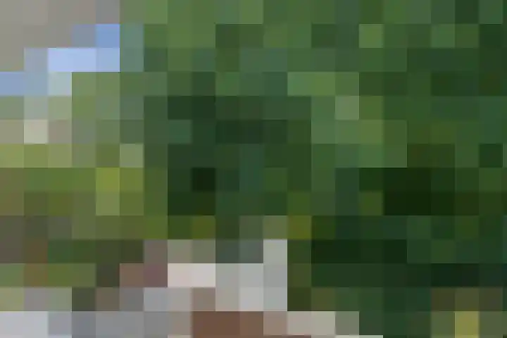 Eykmanstraat 2 III Wageningen thumbnail 21