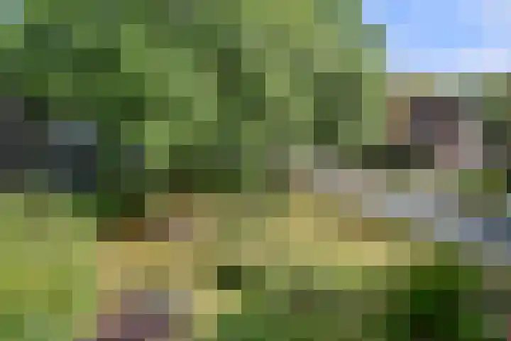 Eykmanstraat 2 III Wageningen thumbnail 27
