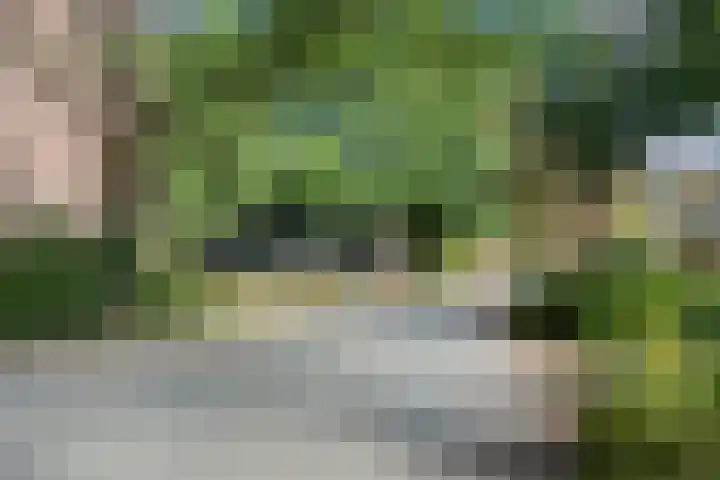 Eykmanstraat 2 III Wageningen thumbnail 31