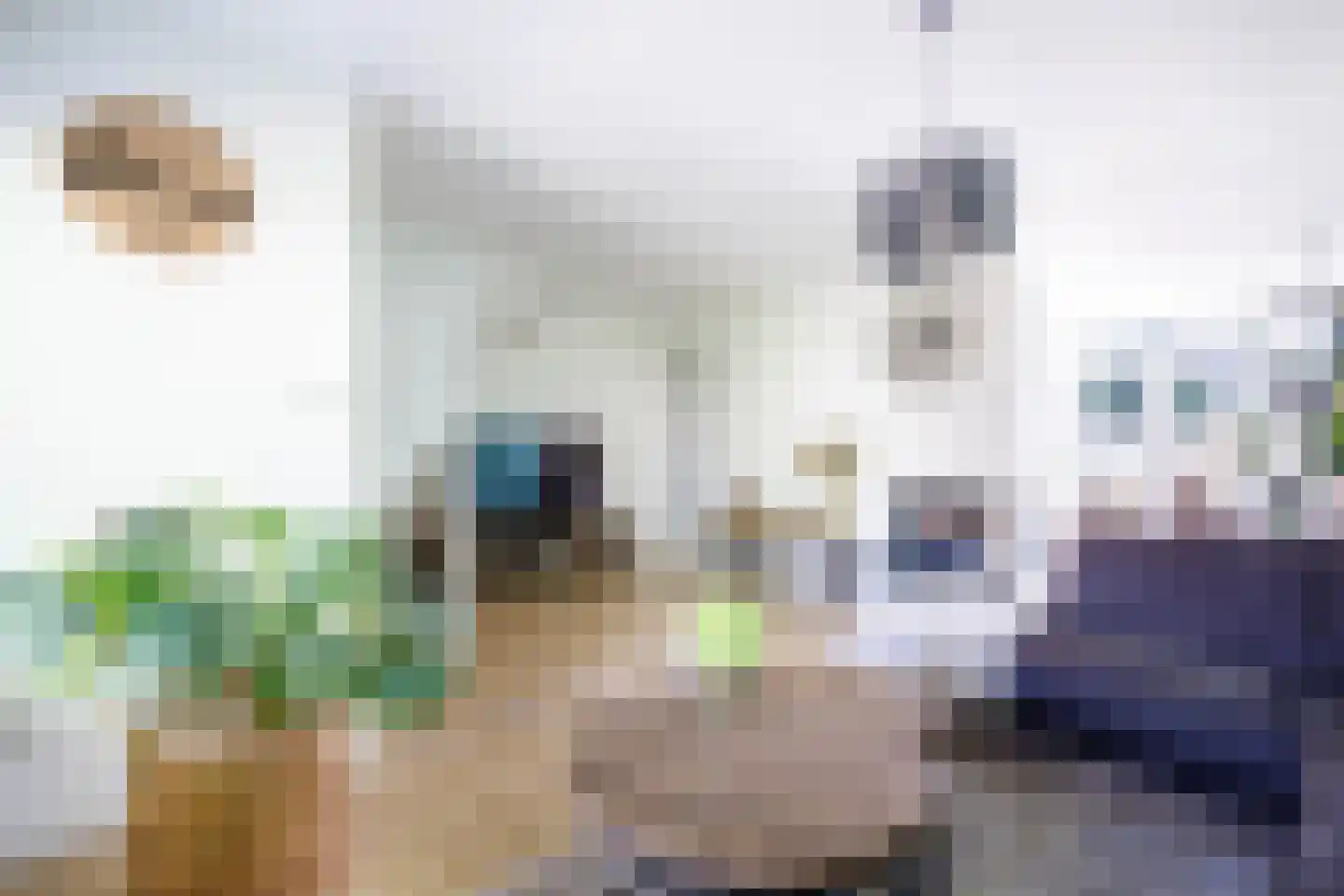 Eykmanstraat 20 Schoonhoven thumbnail 11