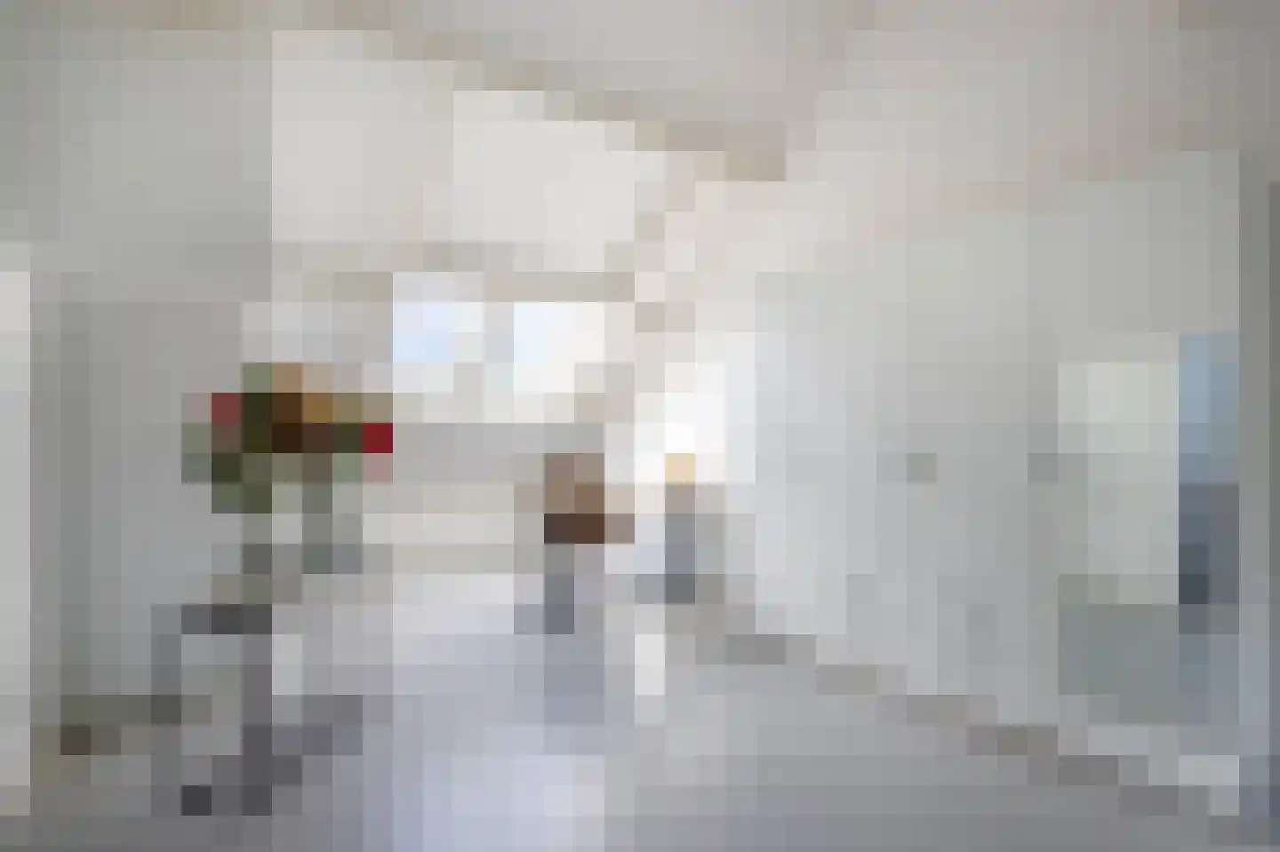 Eykmanstraat 20 Schoonhoven thumbnail 30