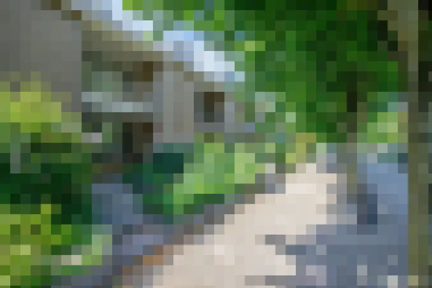 Eykmanstraat 20 Schoonhoven thumbnail 38