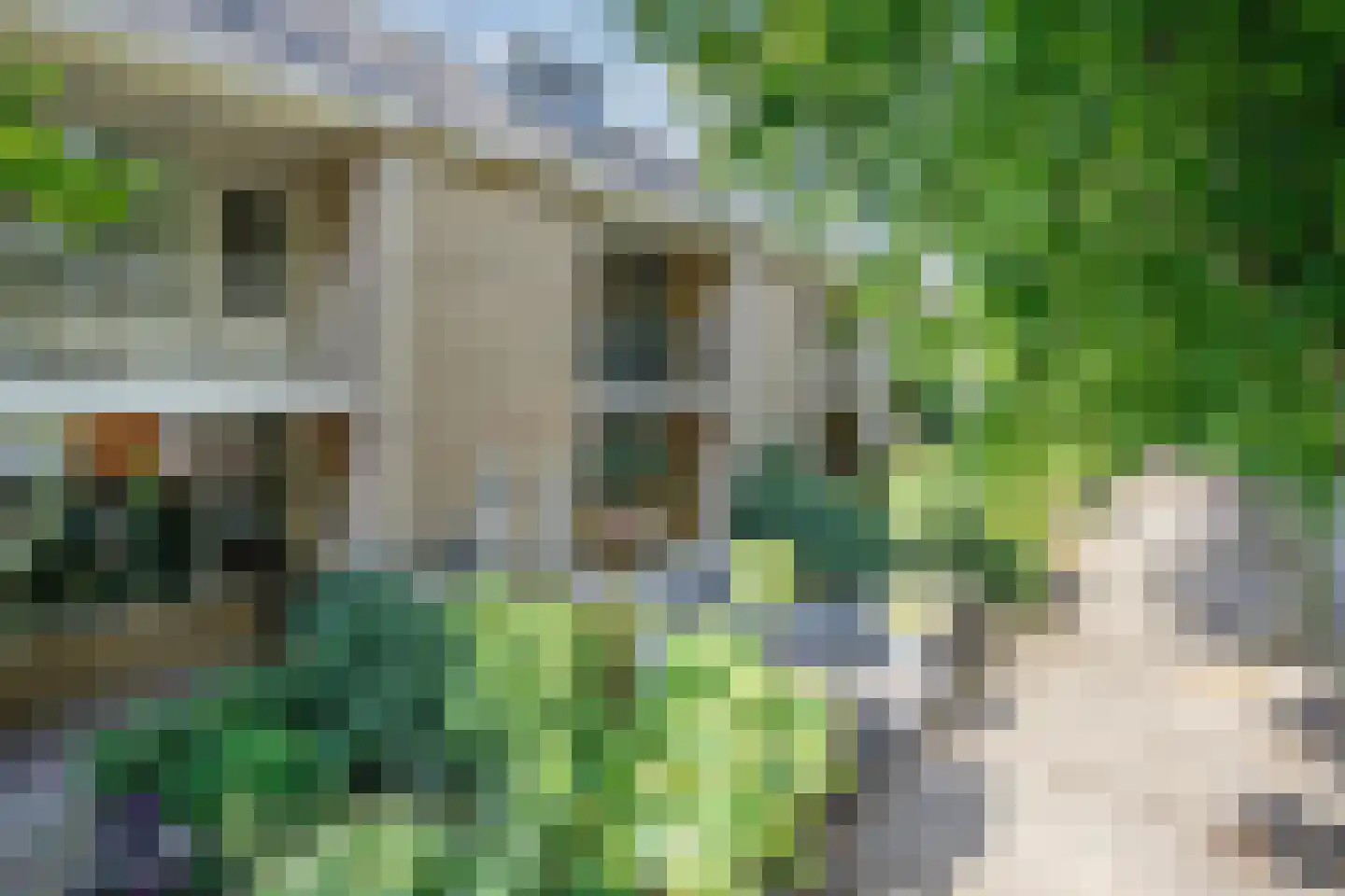 Eykmanstraat 20 Schoonhoven thumbnail 5