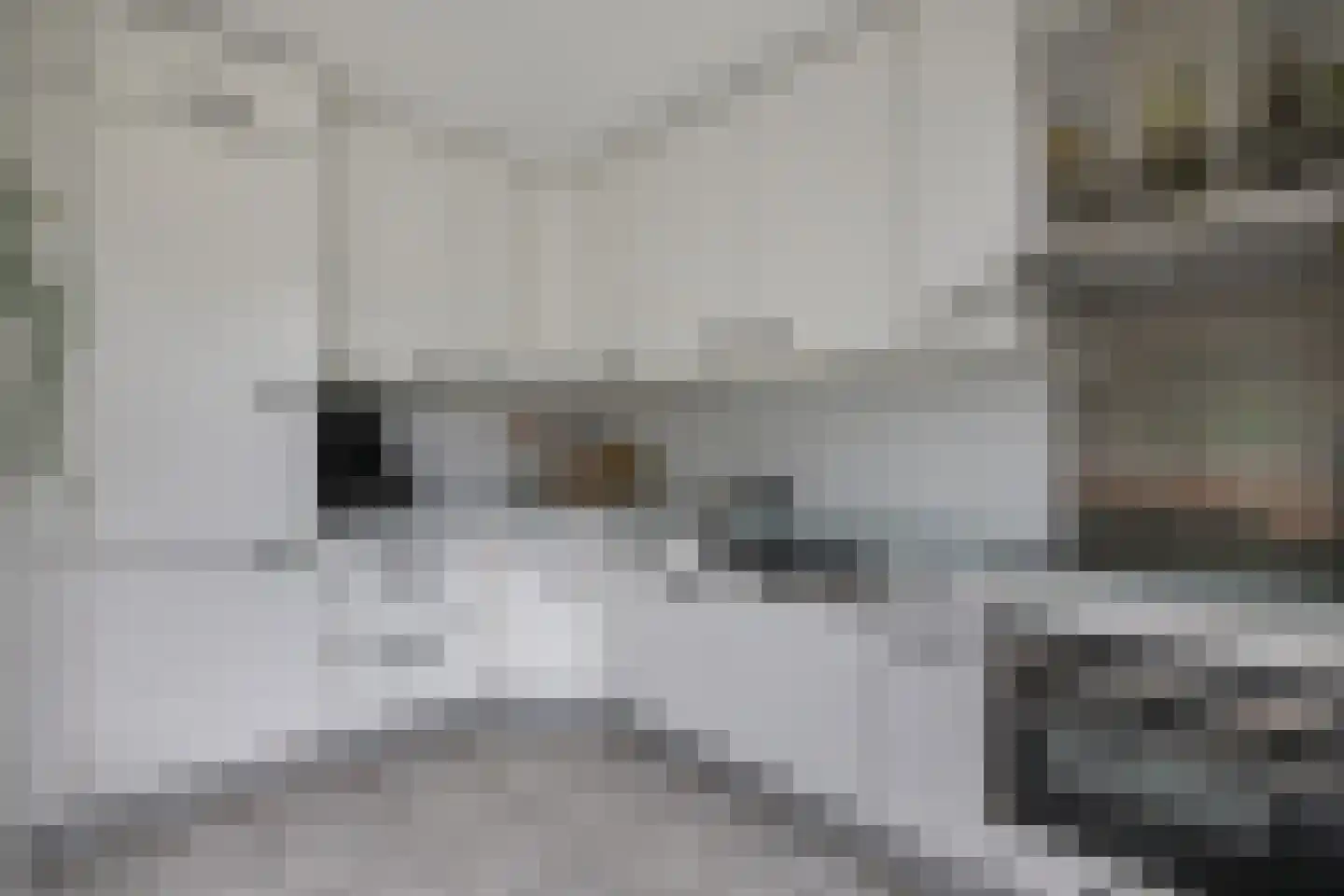 Eykmanstraat 22 Schoonhoven thumbnail 14