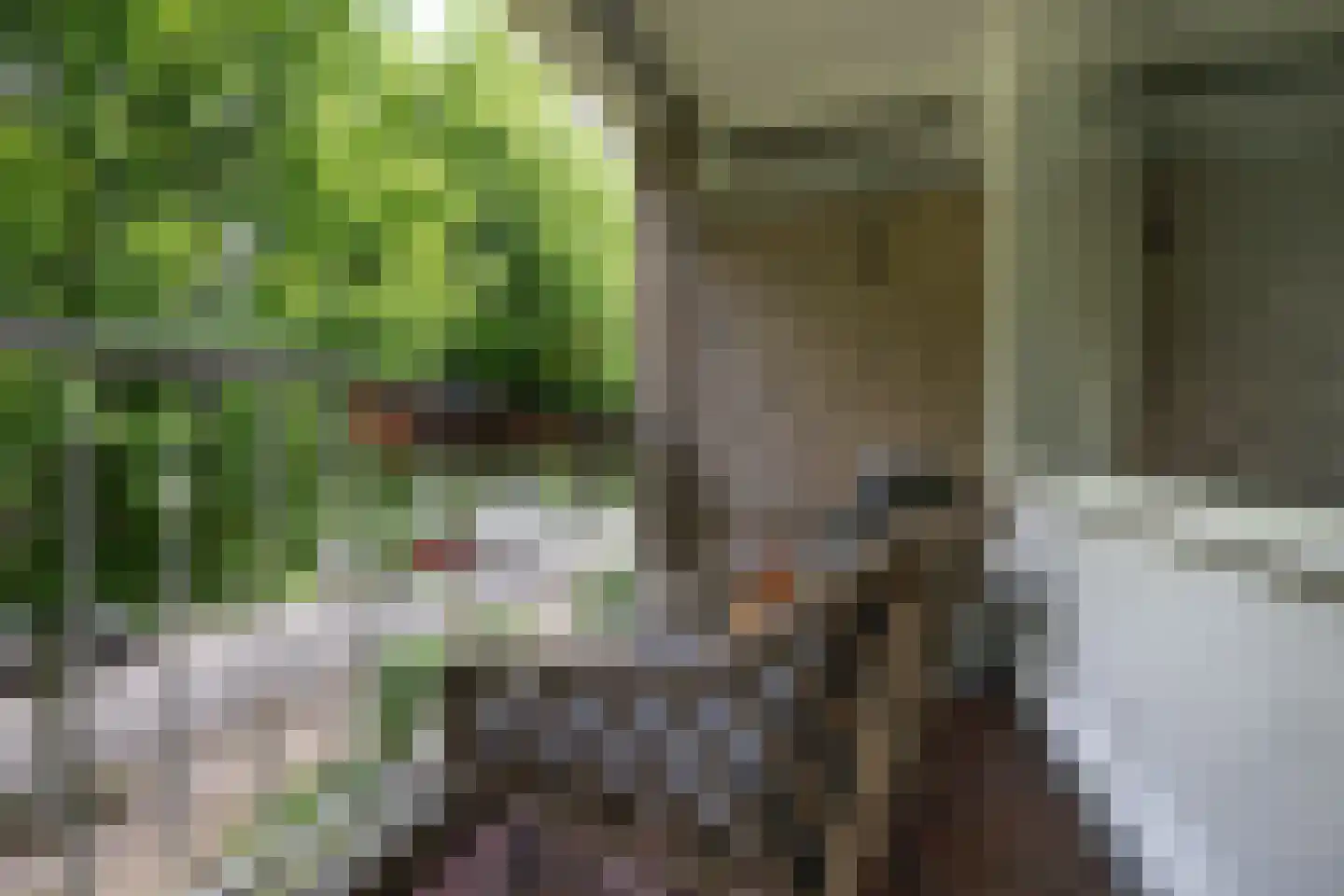 Eykmanstraat 22 Schoonhoven thumbnail 25