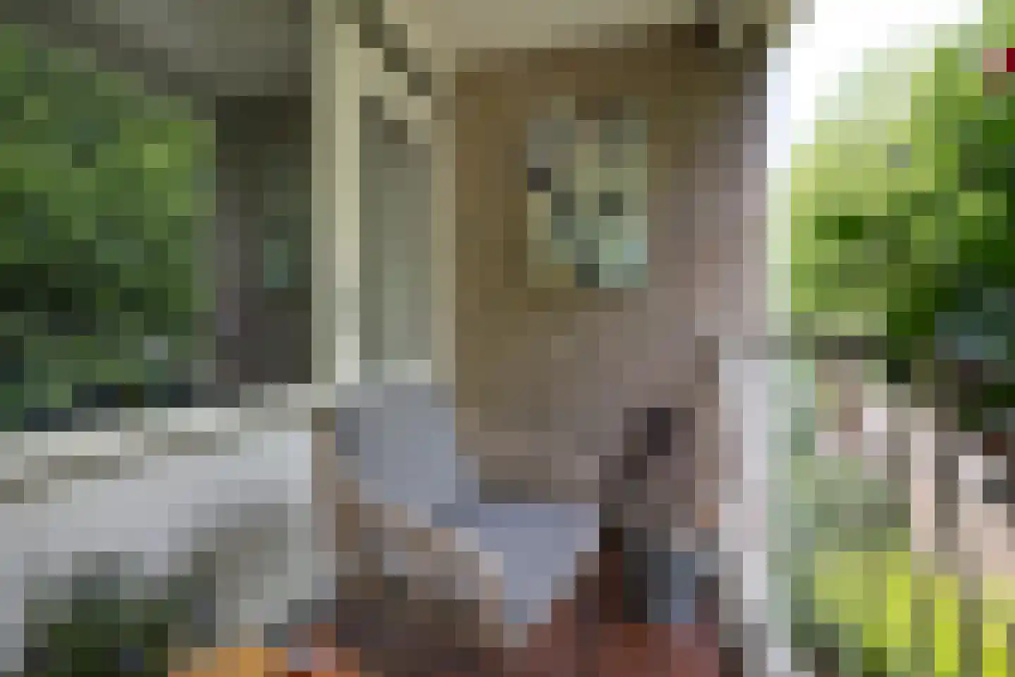 Eykmanstraat 22 Schoonhoven thumbnail 26