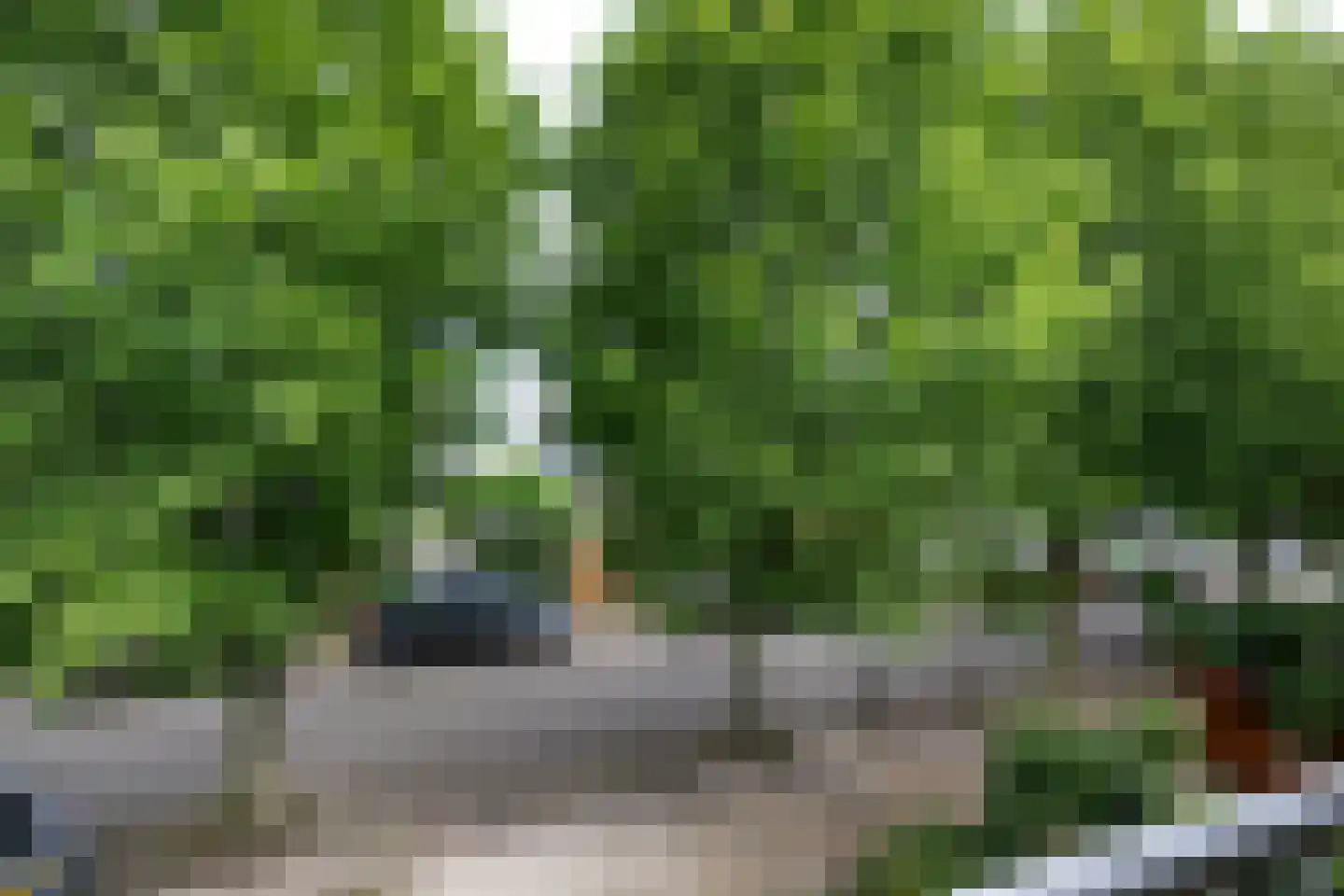 Eykmanstraat 22 Schoonhoven thumbnail 27