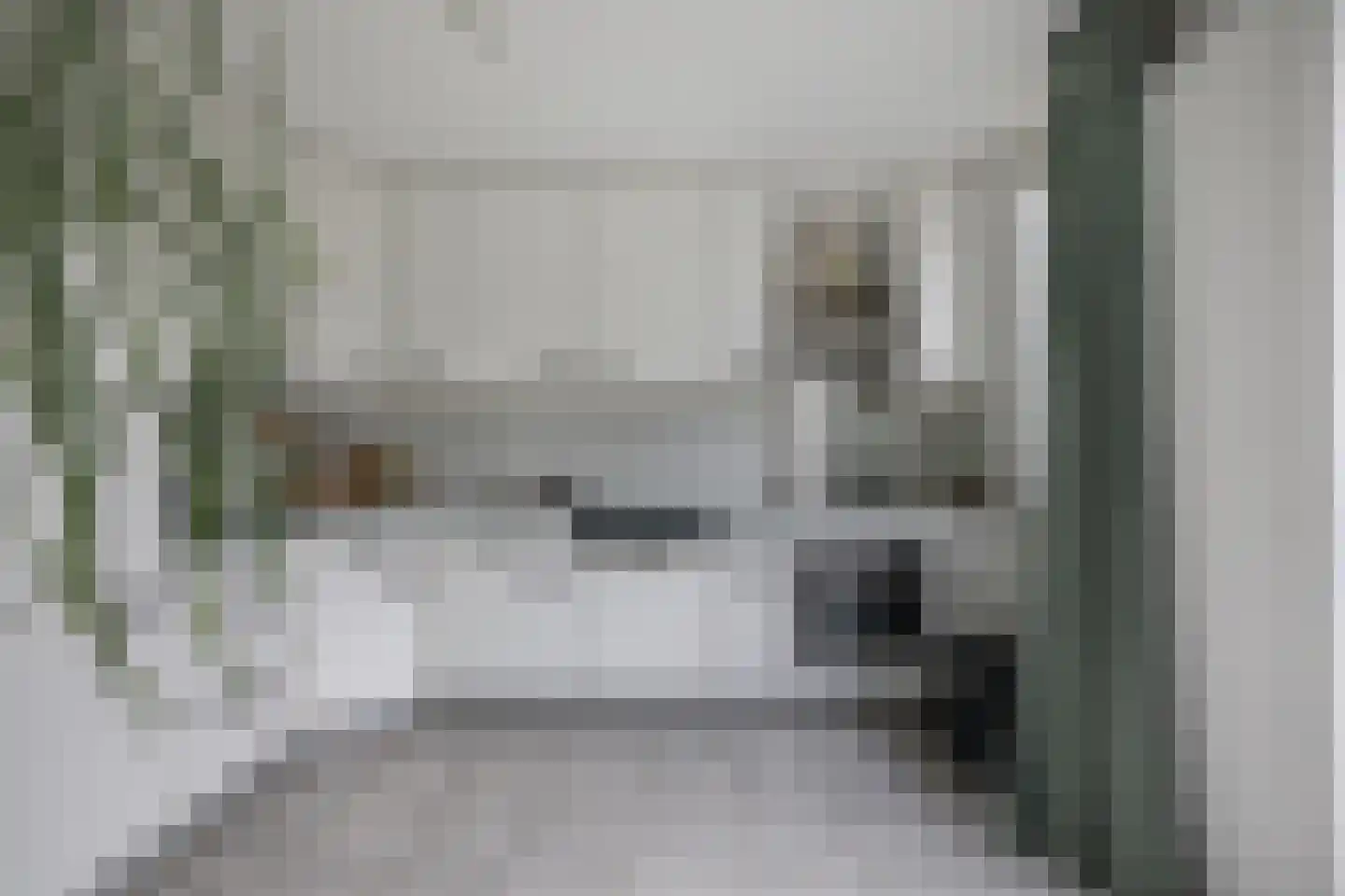 Eykmanstraat 22 Schoonhoven thumbnail 4