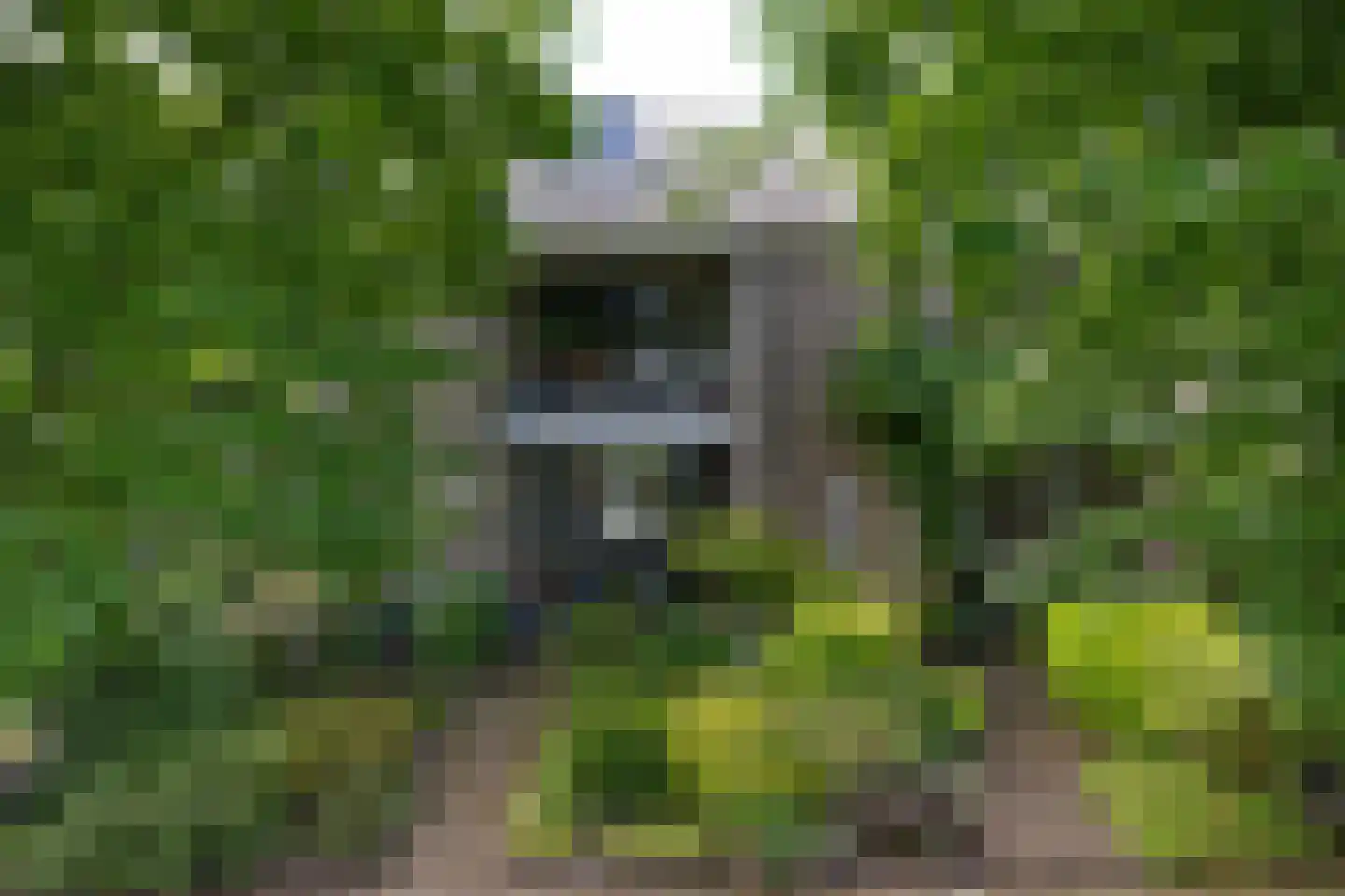 Eykmanstraat 22 Schoonhoven thumbnail 41