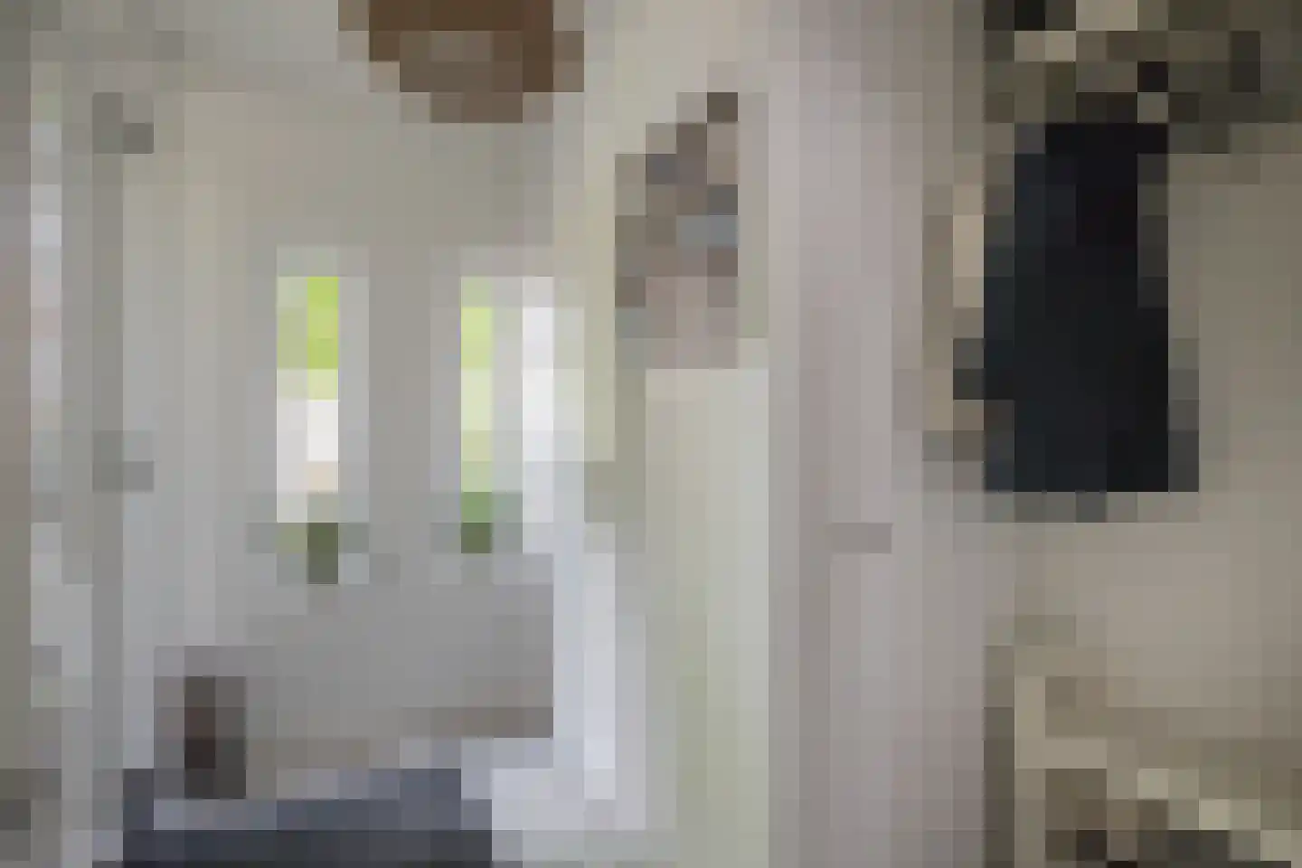 Eykmanstraat 22 Schoonhoven thumbnail 8