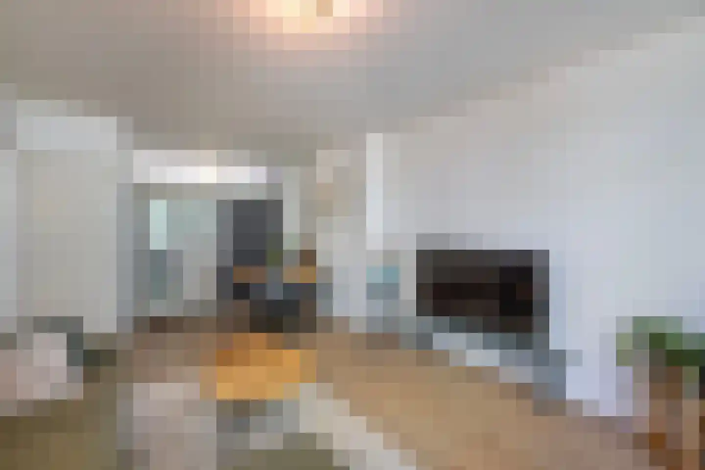 Eykmanstraat 4 II Wageningen thumbnail 13