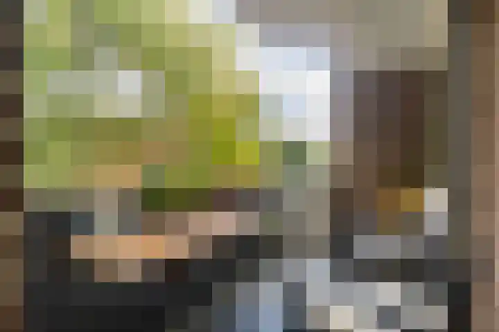 Eykmanstraat 4 II Wageningen thumbnail 21