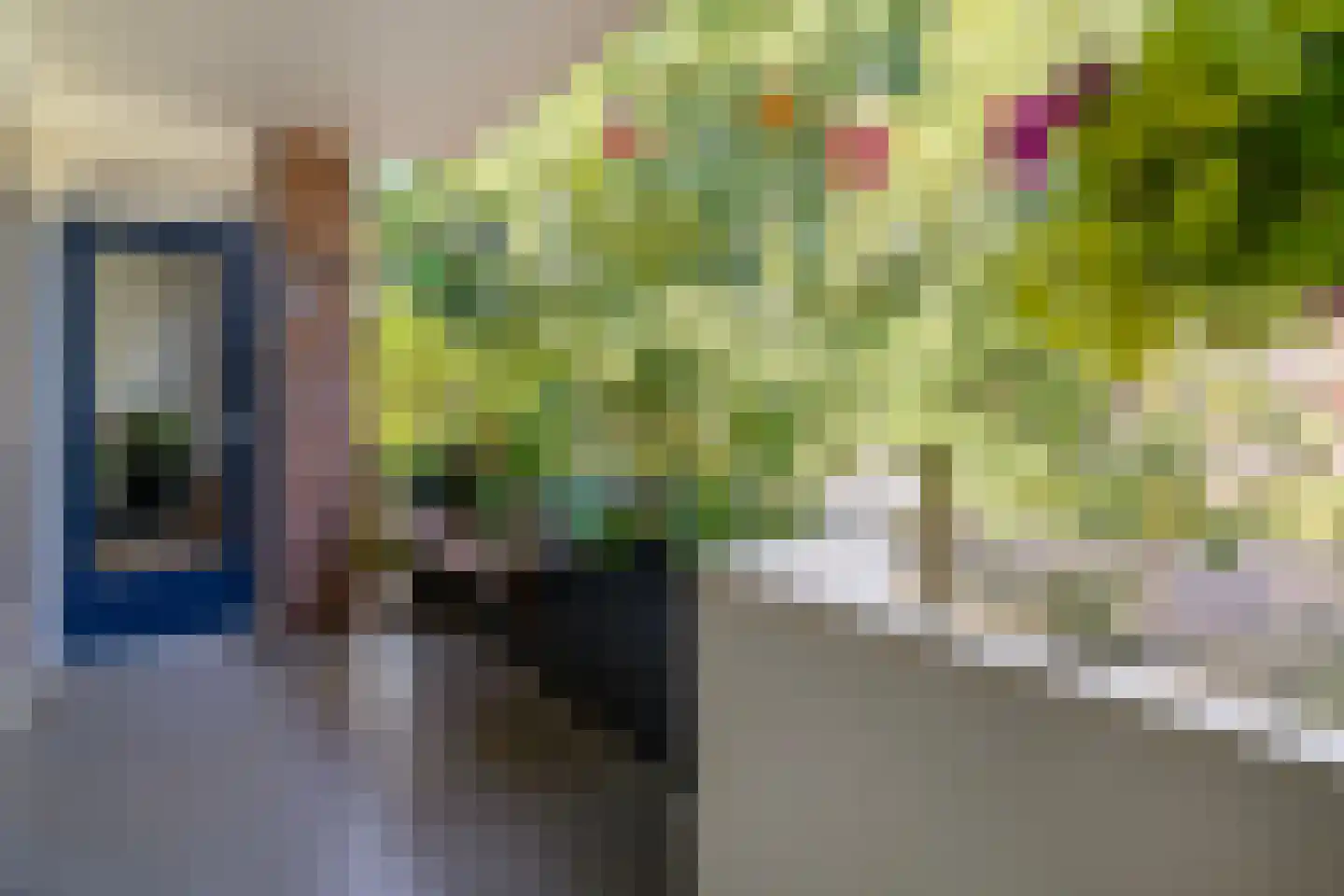 Eykmanstraat 4 II Wageningen thumbnail 22