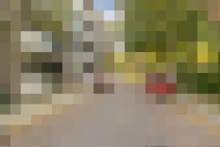 Eykmanstraat 4 II Wageningen thumbnail 24