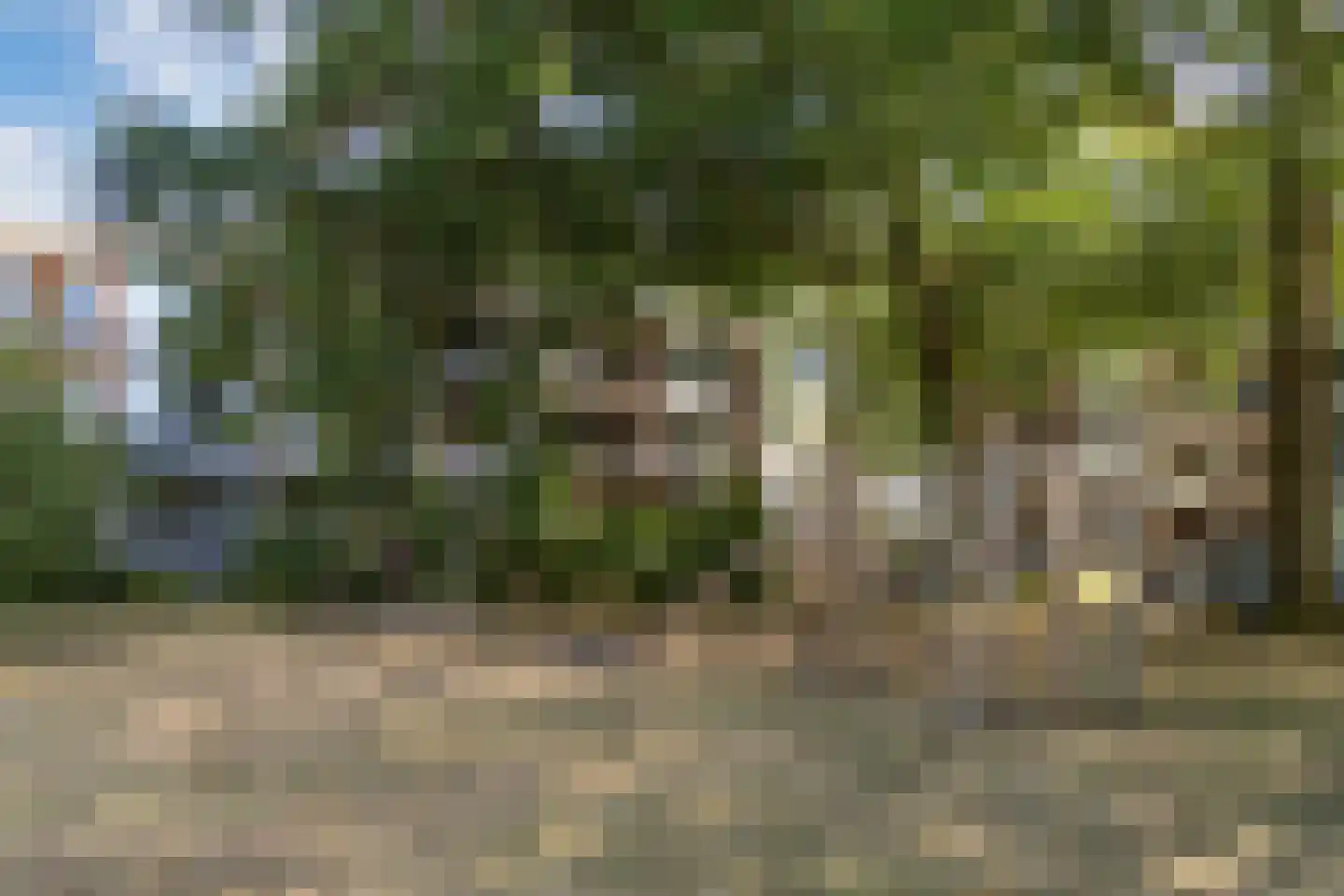 Eykmanstraat 4 II Wageningen thumbnail 35
