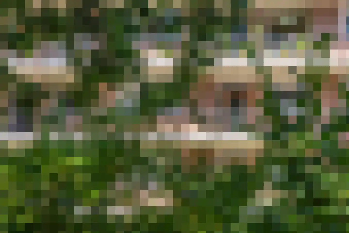 Eykmanstraat 4 II Wageningen thumbnail 36