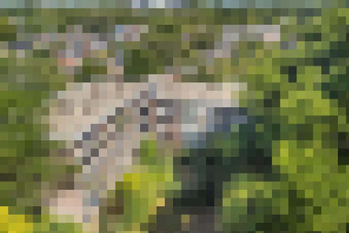 Eykmanstraat 4 II Wageningen thumbnail 38